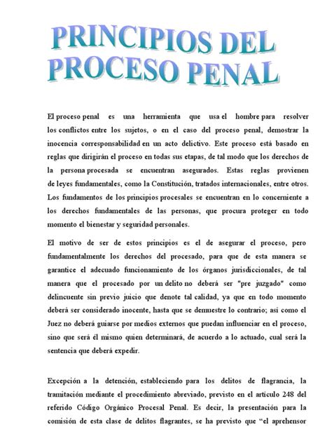 Principios Del Proceso Penal Pdf Derecho Penal Procedimiento Criminal