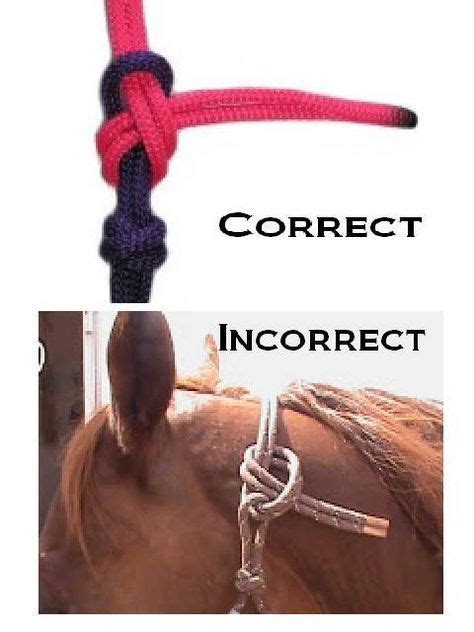 Horse Halter Rope Tie Method So Many Peeps Dont Know How Horse