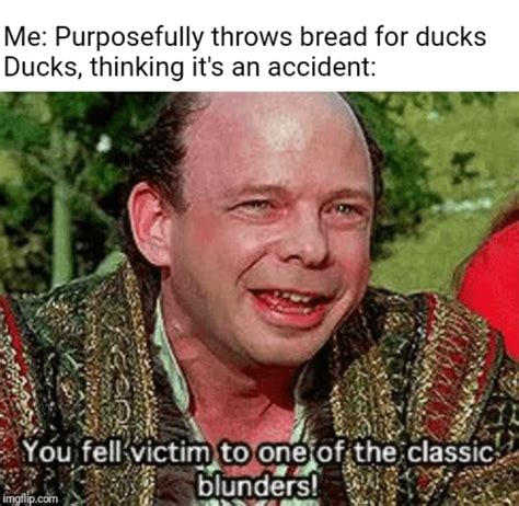 Quack Quack : r/memes