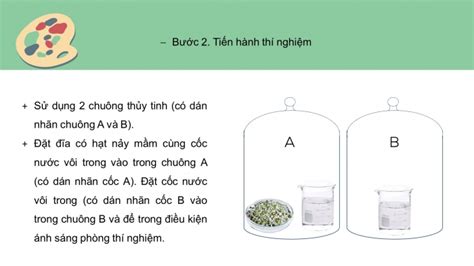 KHTN 7 kết nối tri thức Tải slide trình chiếu bài 27 Thực hành hô hấp