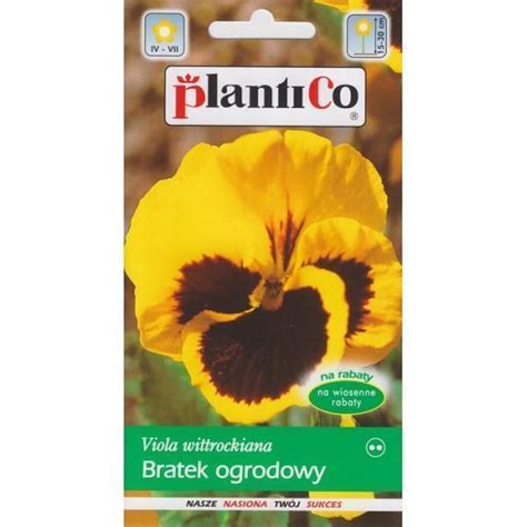 Bratek Ogrodowy Żółty 0 5g Plantico rolno ogrodniczy pl