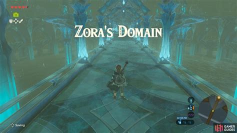 Master Shoot Zora Telegraph