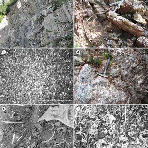 Mt Kri Evnik Ks Alps Micro And Macro Facies A Upper Part Of The