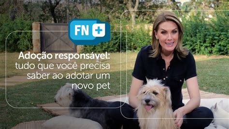 Ado O Respons Vel Tudo Que Voc Precisa Saber Ao Adotar Um Novo Pet