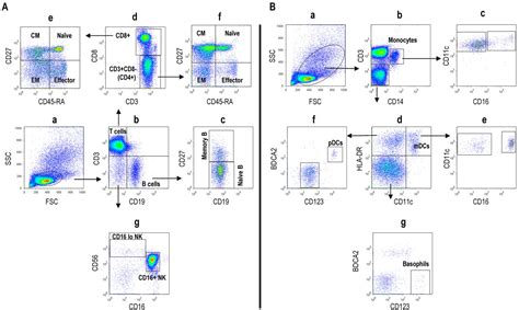 Figure 1 From Human Peripheral Blood Mononuclear Cells Exhibit