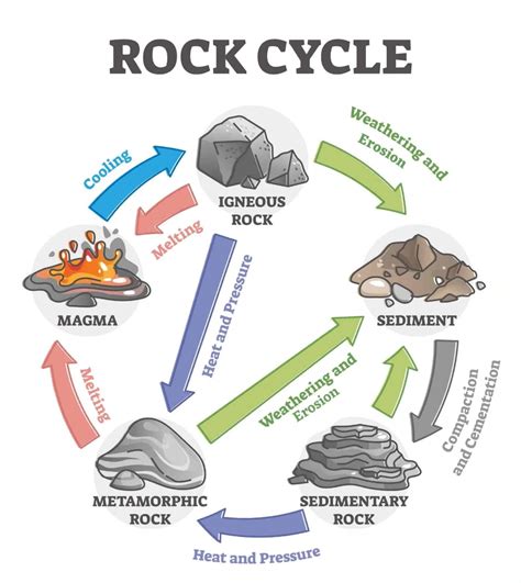 The Rock Cycle Explained In Rock Cycle Rock Cycle Activity