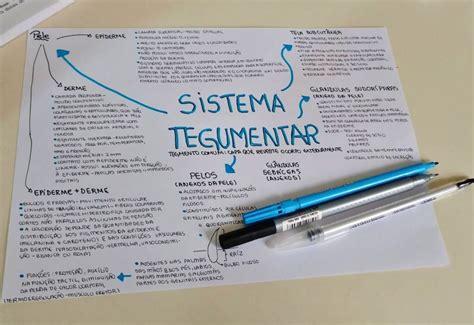 MAPA MENTAL SOBRE SISTEMA TEGUMENTAR STUDY MAPS