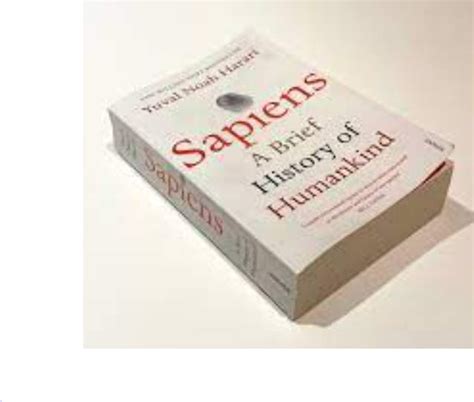 Book Recommendation Sapiens Sandbuzs Newsletter