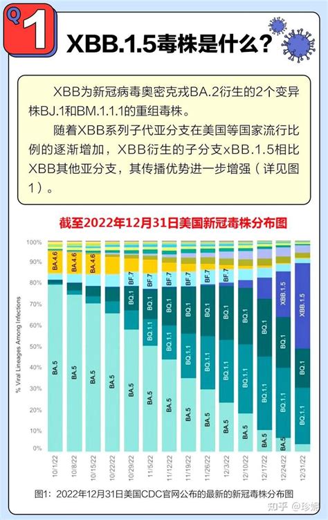 Xbb毒株会否引起第二波感染？春节出行如何做好防护？一文给您讲清楚 知乎