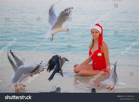 Several Seagulls Girl Red Bikini Stock Photo Shutterstock