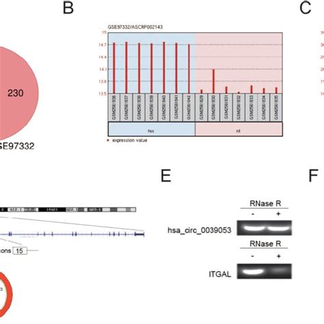 Circrna Expression Profiles In Hcc A The Venn Diagram Overlapping