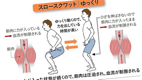 2度のがん治療中もしゃがみ続けた東大名誉教授が｢私はスクワットに救われた｣とマジメに語る理由【2024上半期best5】 ｢私は2度死んでい