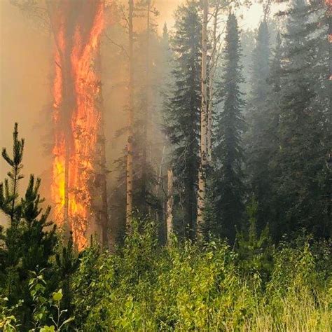 Grande Prairie Forest Area Wildfire Update July 10 2024