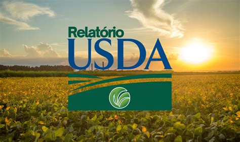 Usda Estoques De Milho Vem Abaixo Das Expectativas Do Mercado