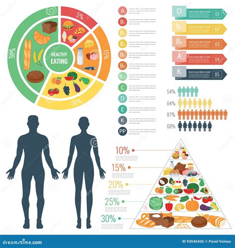 Gezond Voedsel Voor Menselijk Lichaam Het Gezonde Eten Infographic