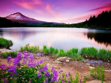 Full HD Size Nature Wallpapers Free Downloads Full HD High Res ... Desktop Background