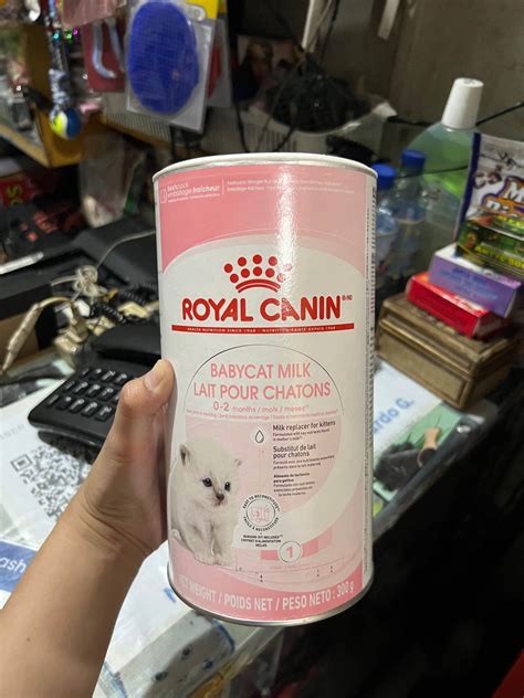Royal Canin Babycat Baby Cat Milk Kitten Milk New Born Kittens 300g ...