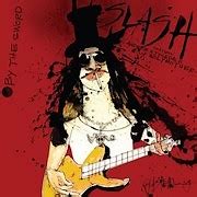 Slash R&FN'R | Slash solo album