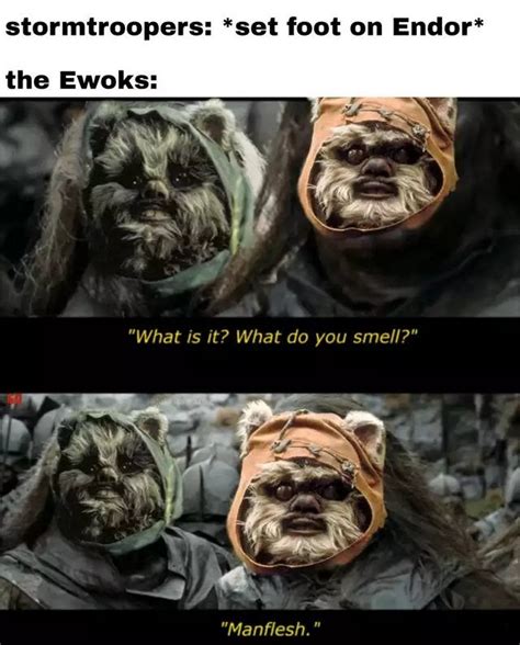 Ewok Terror : r/starwarsmemes