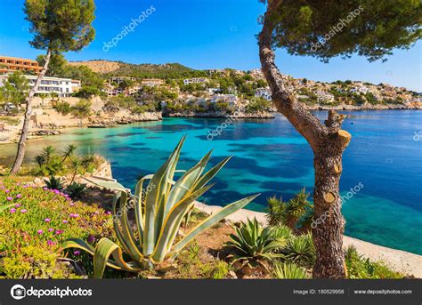 Plantas Tropicales Cala Fornells Mallorca España Fotografía De Stock © Pkazmierczak 180529958