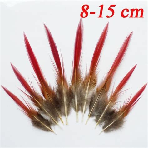 PLUME DE DECORATION JJHJ 20 Pcs Plumes De Poulet De Paon Plumes De