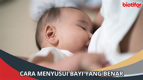 Cara Menyusui Bayi yang Benar: Panduan Lengkap - Biotifor