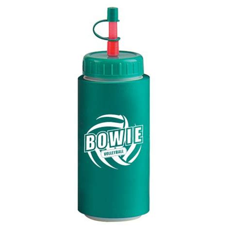 Custom Logo Foam Insulated 16 Oz Sport Bottle With Straw