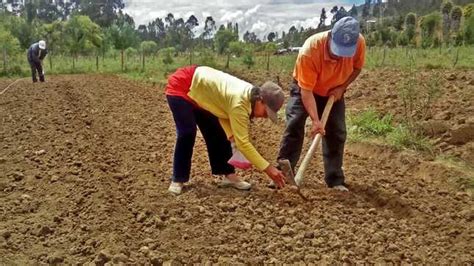 Pequeño agricultor podrá recibir S 800 por hectárea afectada a través