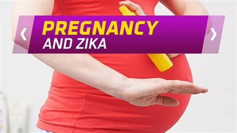 Zika And Pregnancy What You Need To Know