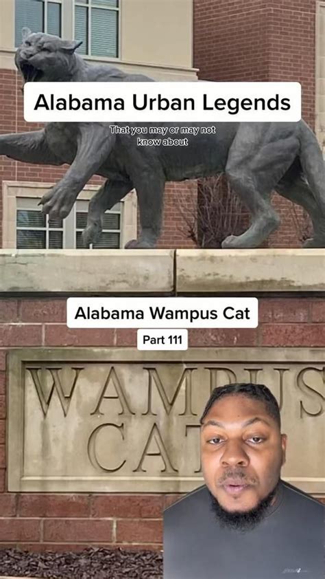 Alabama Urban Legends Alabama Wampus Cat In 2022 American Myths