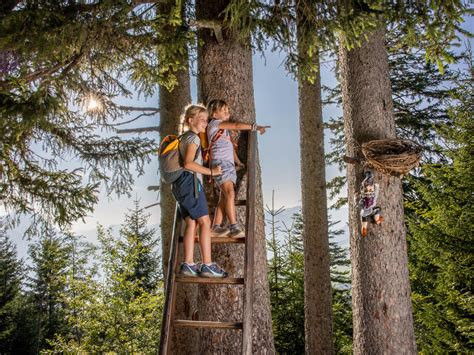 Zwergenweg Mägisalp-Bidmi | Bergbahnen Meiringen Hasliberg AG