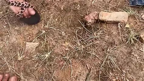 Indian Desi Village Girl Sex Fuck In Jungle Nipples Porn Xhamster