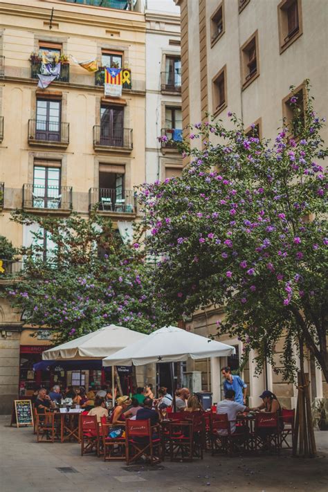 A Guide to the Best Things to do in The Gothic Quarter, Barcelona