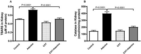 The Concentration Of Thiobarbituric Acid Reactive Substances Tbars