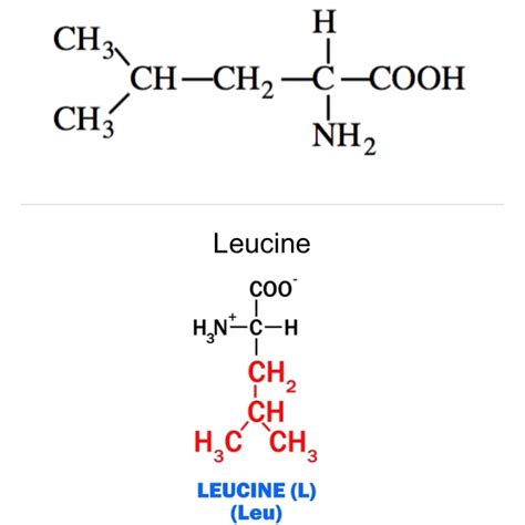 Isoleucine Zwitterion