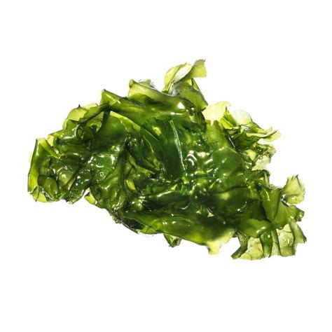 Classic Fine Foods Sea Lettuce Seaweed