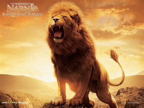 112 Narnia Aslan Wallpapers WallpaperSafari