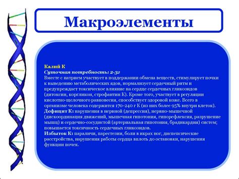 Обмен веществ в организме человека - презентация онлайн