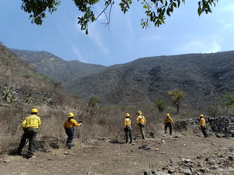 Incendio en Las Altas Montañas liquidado al 95 por ciento e veracruz mx