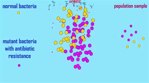 Natural Selection Of Antibiotic Resistance In Bacteria Youtube