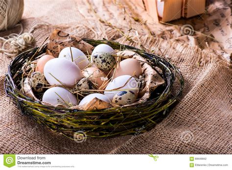 Fresh Chicken And Quail Eggs In A Nest Stock Photo Image Of Easter