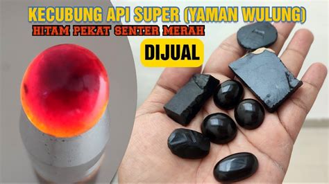 Ready Nih Lostune Kecubung Api Hitam Pekat Senteran Merah Plong Youtube