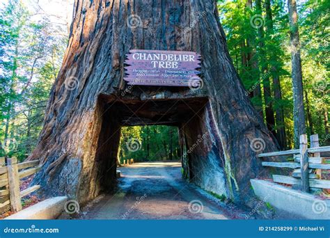 Drive Through Redwood Tree Editorial Image | CartoonDealer.com #18151472