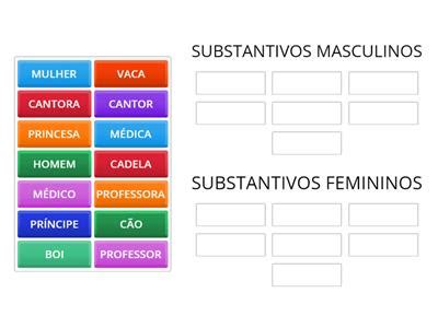 Lista De Masculino E Feminino - Substantivos Masculinos e feminino - Recursos de ensino