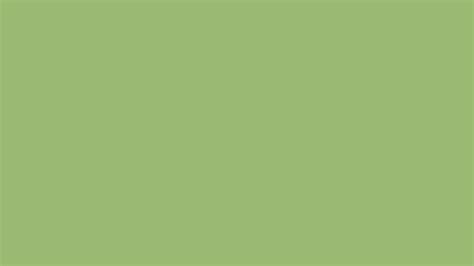 2560x1440 Olivine Solid Color Background