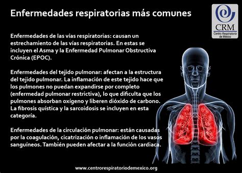 Sal N De Clases Fruct Fero Cosa Cuales Son Las Principales Enfermedades