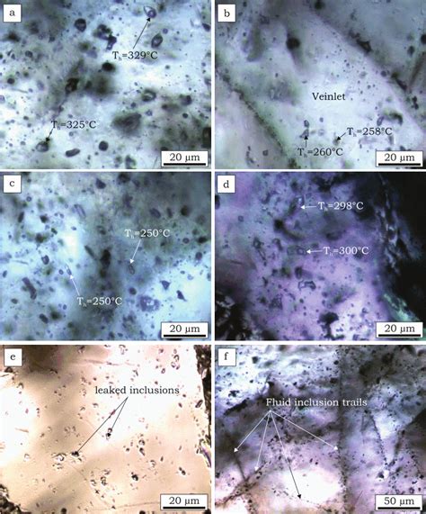 Transmitted Light Photomicrographs Plane Polarized Showing Fluid