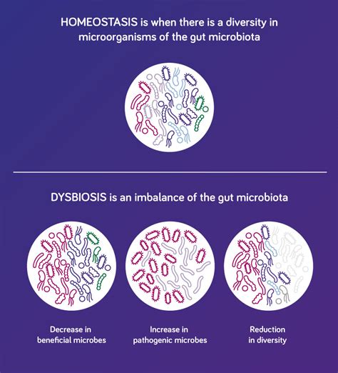 Gut Dysbiosis Paediatrics Nutricia