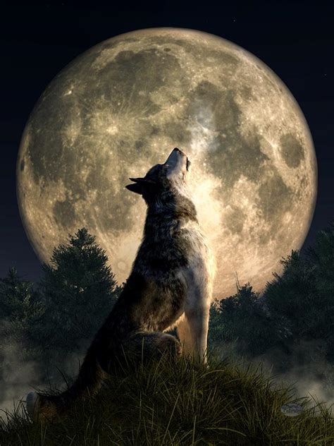 Howling Wolf Digital Art By Daniel Eskridge