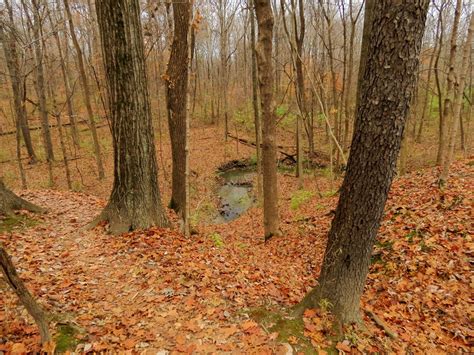 Camp Creek Trail | Outdoor Project